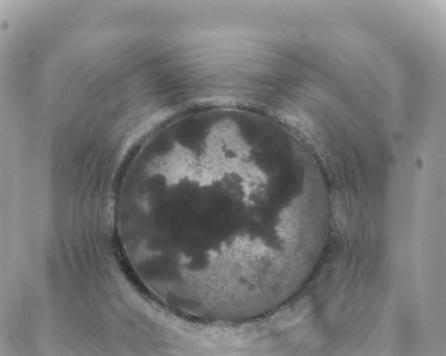 X0000088590016200706011149