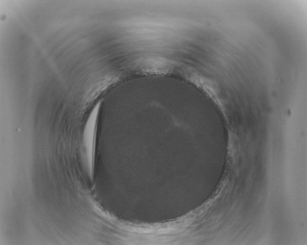 X0000088590017200706011149