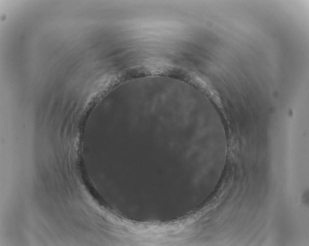 X0000088590018200706011149