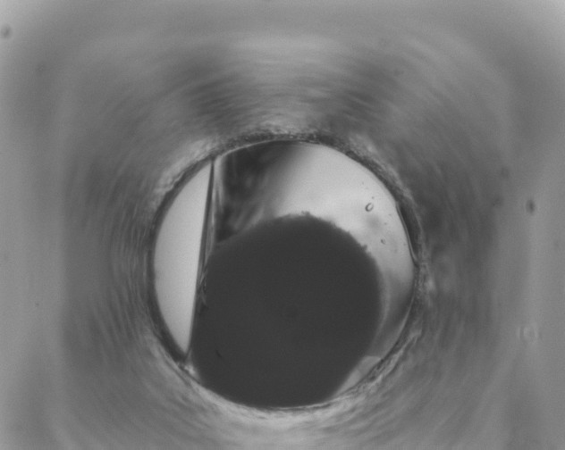 X0000088590019200706011149