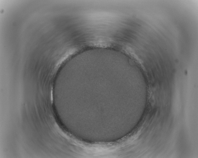 X0000088590020200706011149