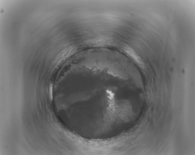 X0000088590022200706011149