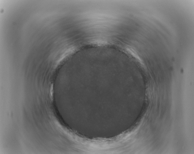 X0000088590024200706011149