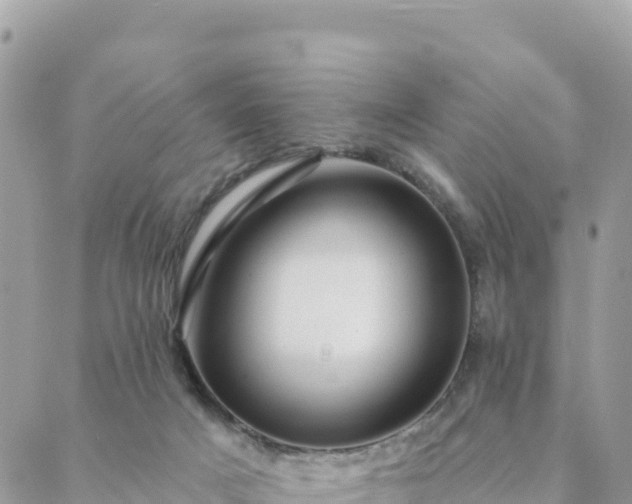 X0000088590025200706011149