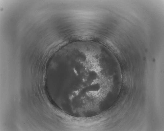 X0000088590026200706011149