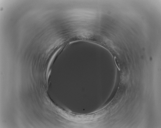 X0000088590027200706011149