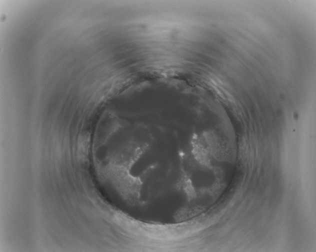 X0000088590030200706011149