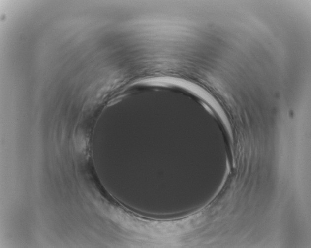 X0000088590031200706011149