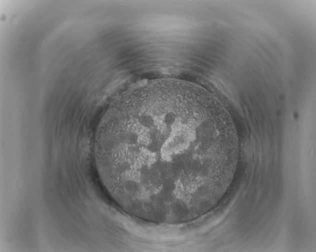 X0000088590032200706011149