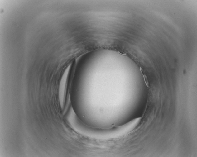 X0000088590033200706011149