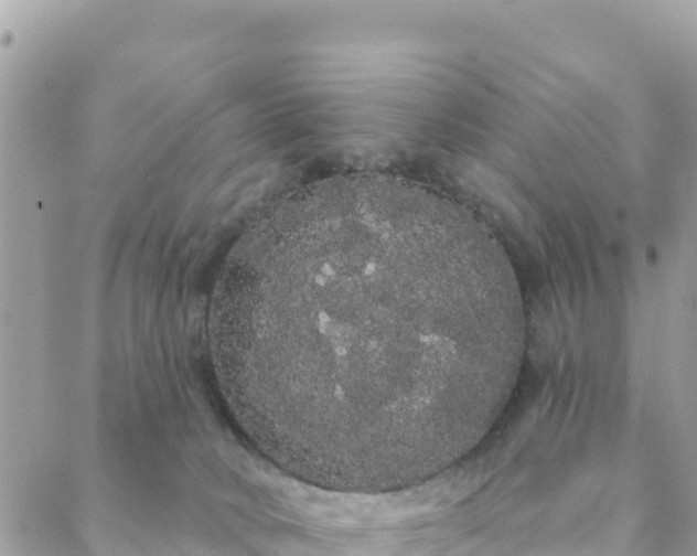 X0000088590034200706011149