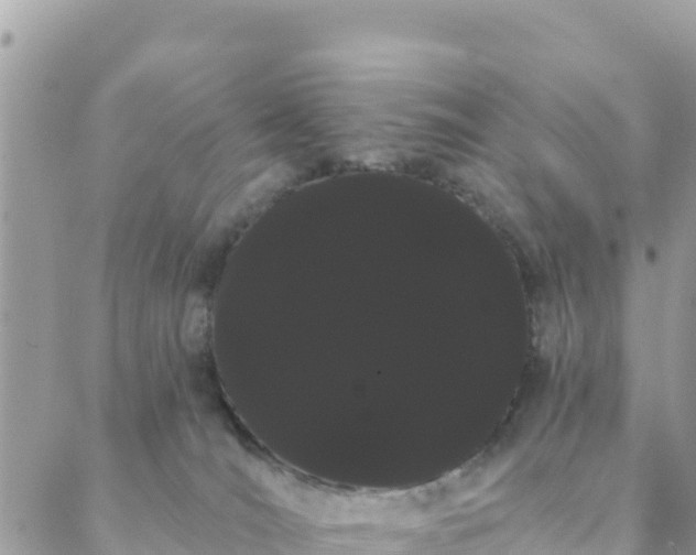 X0000088590036200706011149