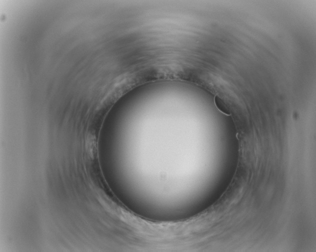 X0000088590038200706011149