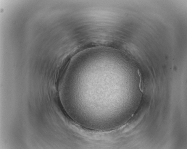 X0000088590040200706011149