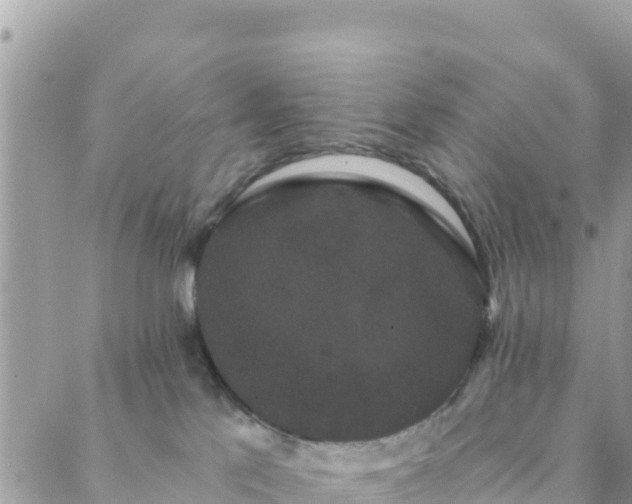 X0000088590041200706011148