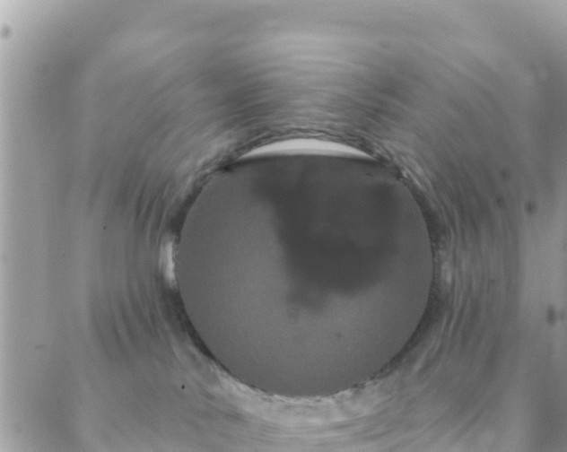 X0000088590042200706011148