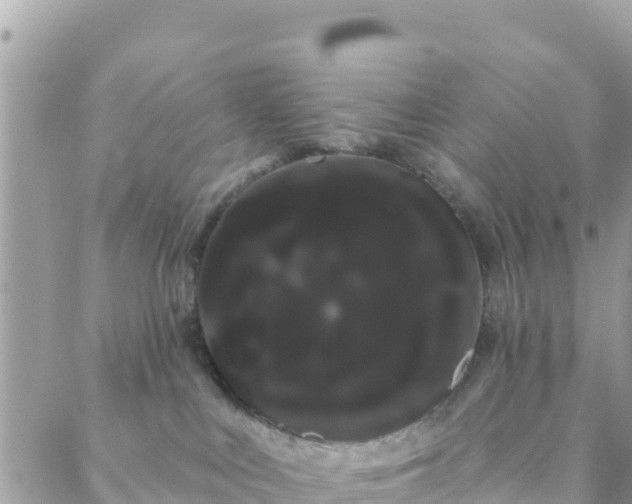 X0000088590043200706011148