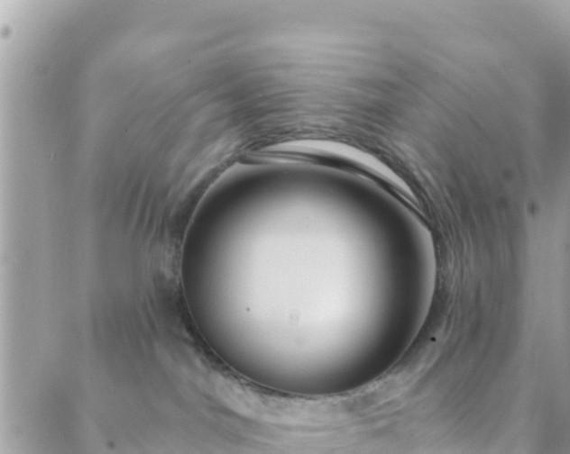 X0000088590044200706011148