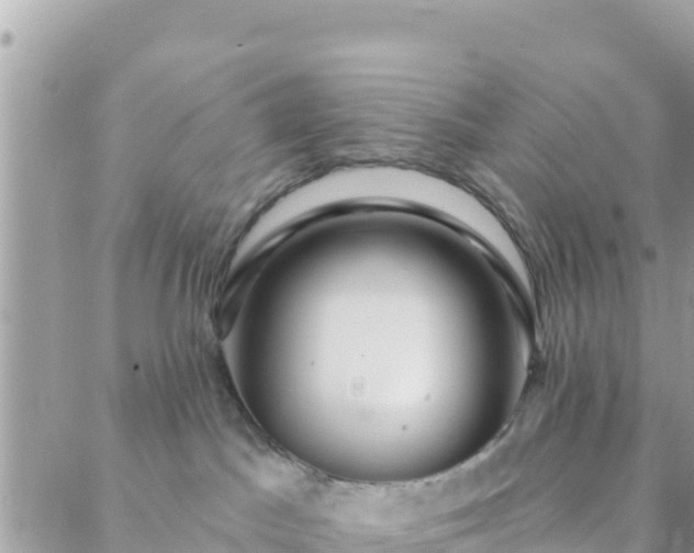 X0000088590045200706011148