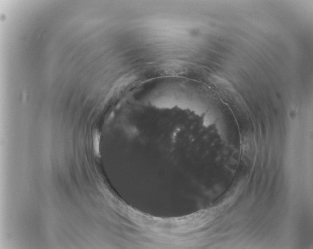 X0000088590046200706011148