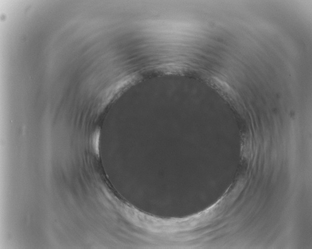 X0000088590047200706011148