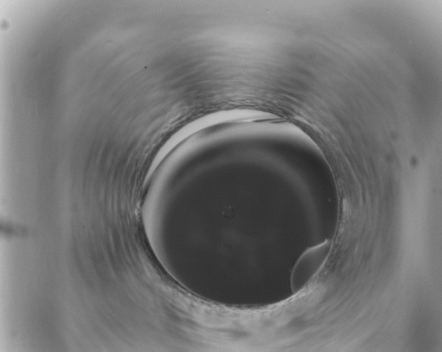 X0000088590048200706011148