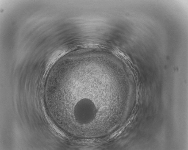 X0000088590049200706011148