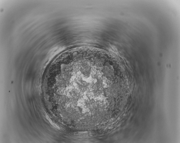 X0000088590050200706011148