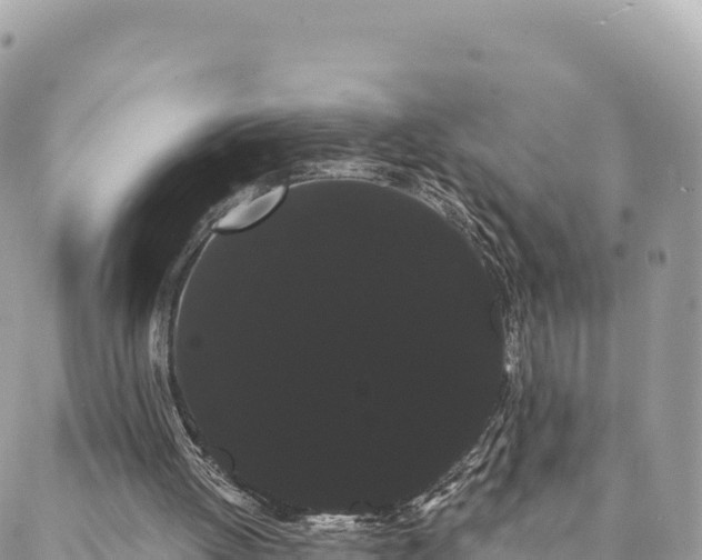 X0000088590052200706011148