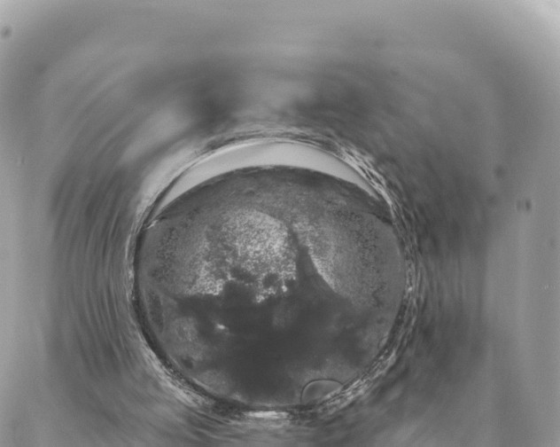 X0000088590053200706011148