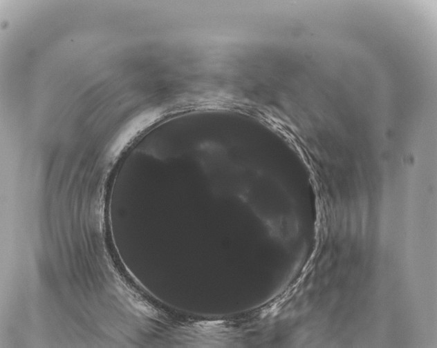 X0000088590054200706011148