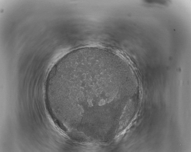 X0000088590055200706011148