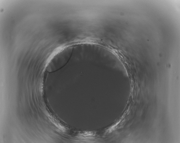 X0000088590056200706011148