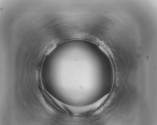 X0000088590057200706011148