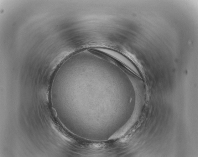 X0000088590060200706011148