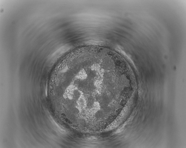 X0000088590062200706011148