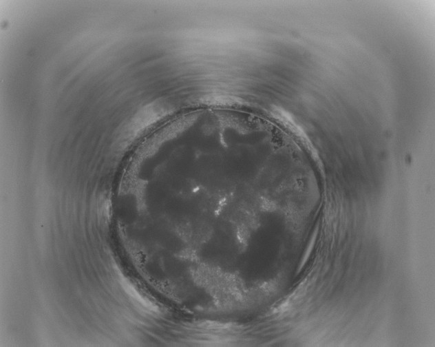 X0000088590063200706011148