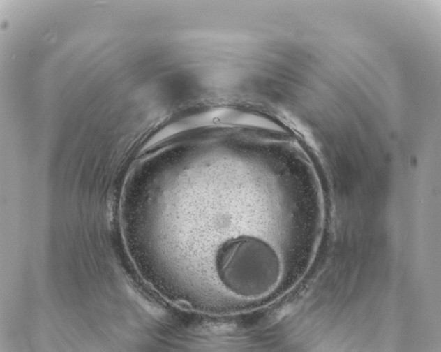 X0000088590065200706011148