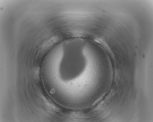 X0000088590066200706011148