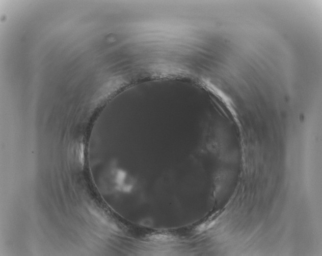 X0000088590067200706011148