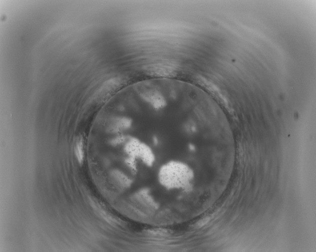 X0000088590069200706011148