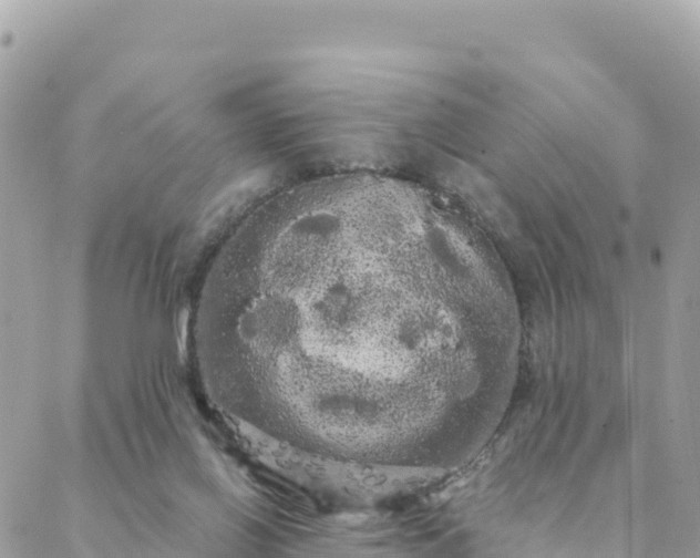 X0000088590070200706011148