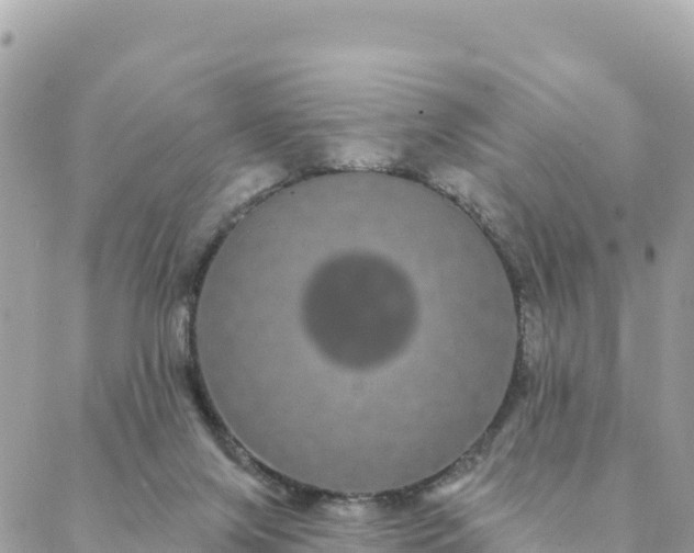 X0000088590071200706011148