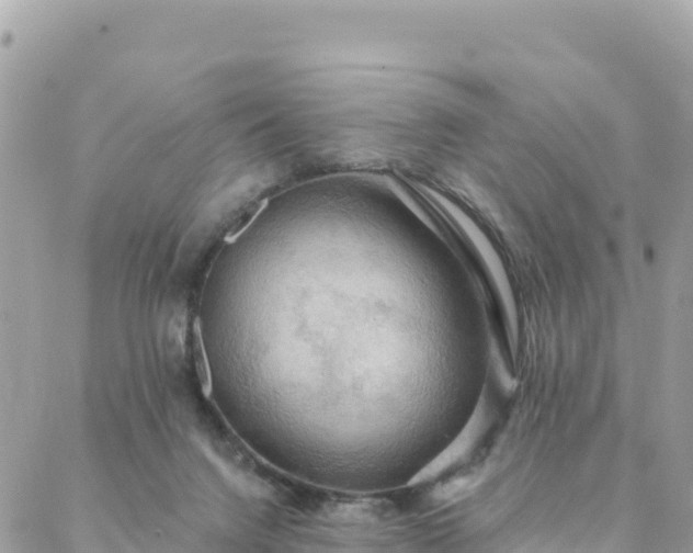 X0000088590072200706011148