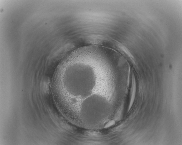 X0000088590073200706011148