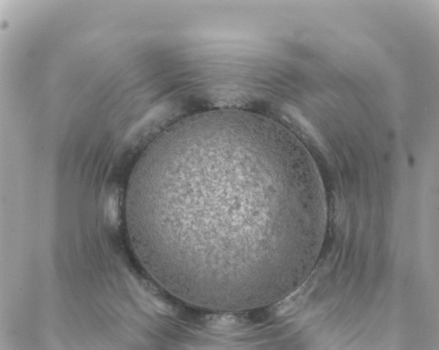 X0000088590074200706011148