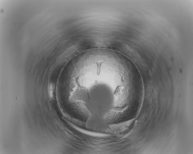 X0000088590075200706011148