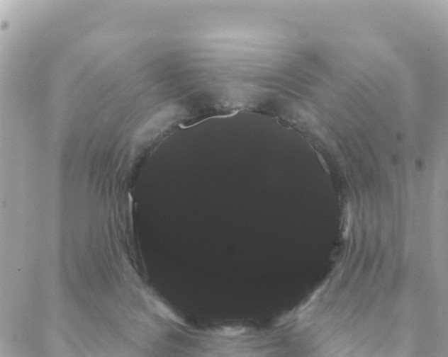 X0000088590076200706011148