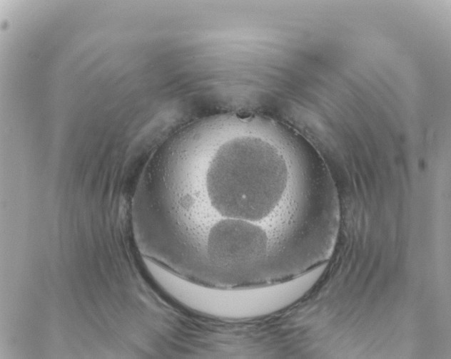 X0000088590077200706011148