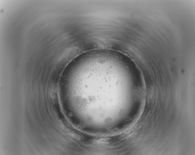 X0000088590078200706011148